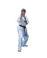 65_7.gif (66741 octets)